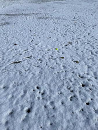 PHOTO-2024-11-22-18-30-11